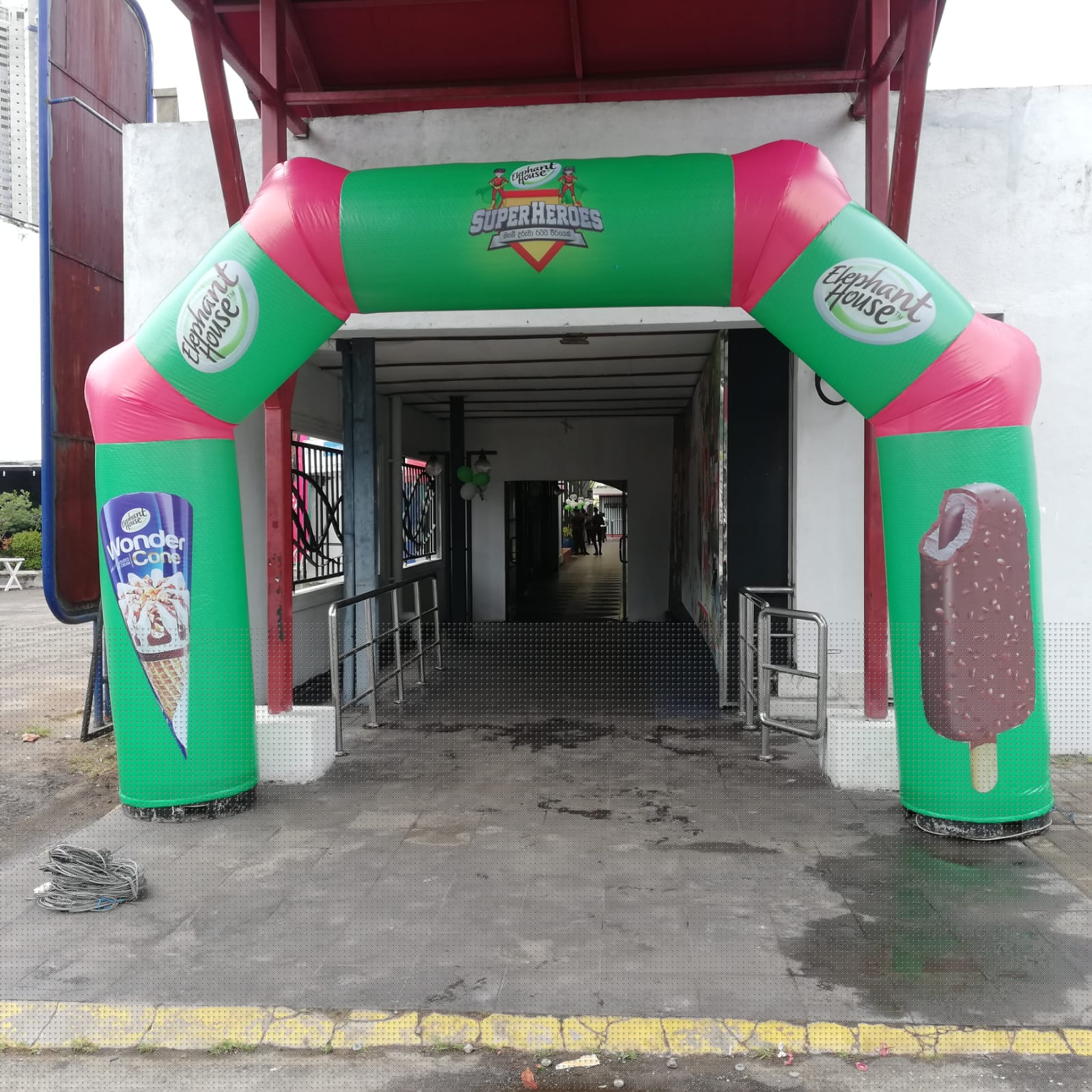 Elephant House Event - Image 4